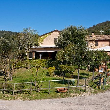 Agriturismo Torre Burchio Bettona Zewnętrze zdjęcie